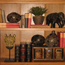 Bookcases & Shelves for Decoration
