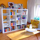 Bookcases & Shelves for Decoration

