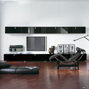 Living Room Decoration