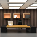 Office Furniture for Decoration